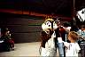 disney04.jpg